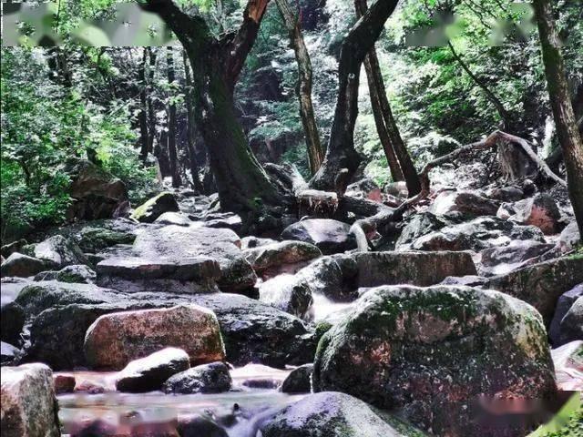 冲浪骑士